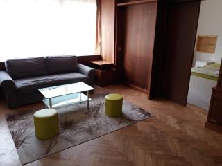 Apartments Tronicek - Praag - 8
