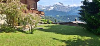 apartment with big garden and stunning view Chesieres - 2