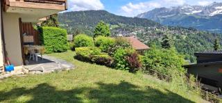 apartment with big garden and stunning view Chesieres - 1