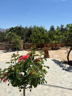 Traditional house Nikos - 3