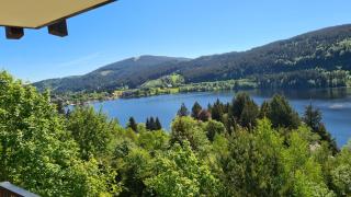 Traumblick auf den Titisee, ruhige FeWo für 1-4 - 6