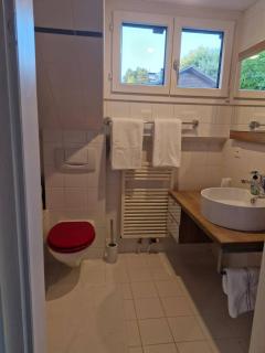 Charming Family House in Herrliberg with Garden Views - 2