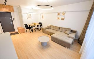 Twin II Apartment - One Bedroom - Cismigiu Gardens - 7