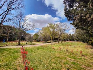 Camping Volterra - 6