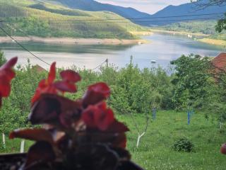 Zavojsko jezero - kuća Mitić - 8