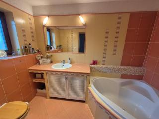 Wellness Villa close to Prague - 3