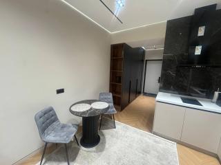 U Tower rental apart-studio Tashkent city view - 7