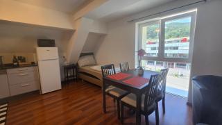 Muhusin Apartments Trimbach - 9