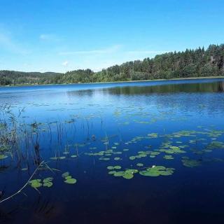Lila Stuga -private jacuzzi &sauna,High Coast - 7