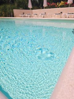 Sundial Houses - Pool & Garden - 5