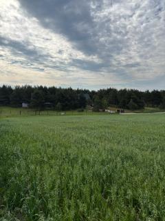 Malinka Domek z Balia - 4