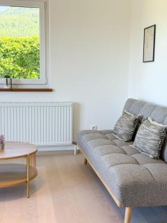 Apartment am Traunsee mit Panorama Seeblick 2 - 2