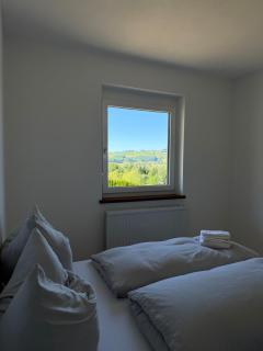 Apartment am Traunsee mit Panorama Seeblick 2 - 6