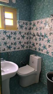 Hotel green chinar & restaurant - 7