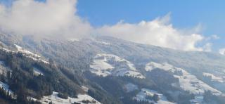 Apart Elfi - 6
