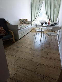 Brand New studio apartment #32 near center with FREE street parking - 7