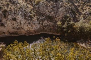 Les Figuiers de Tamaroque - 2
