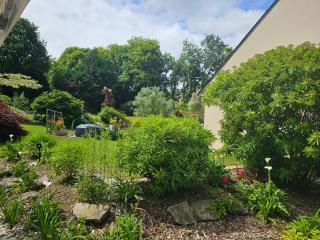 Les LYS - 5
