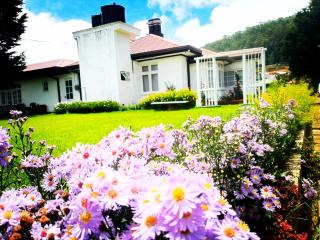 Hill Cliff Banglow - 3