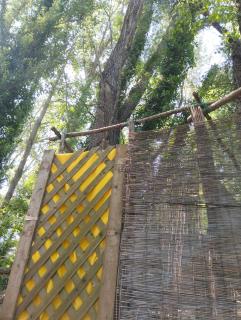 tente type yourth dans les bois - 5