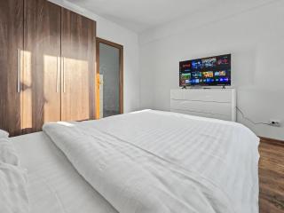 Konstanzer 2 - Cozy Apt - Podu Ros near Palas Mall - AC - Smart TV - Highspeed WLAN - 3