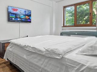 Konstanzer 2 - Cozy Apt - Podu Ros near Palas Mall - AC - Smart TV - Highspeed WLAN - 5