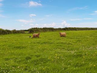 Carnau Mawr - Uk45087 - 5