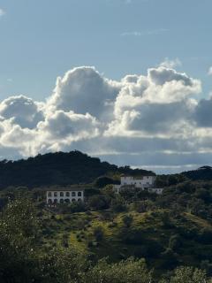 Finca Jaralta de Carmen - 0