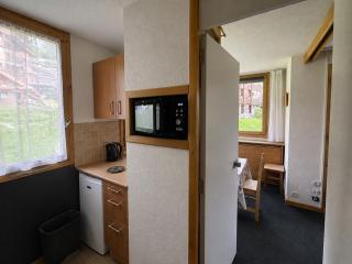 Appartement confort 2 pièces, accès direct pistes, 6 personnes - FR-1-181-2152 - 1
