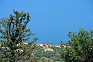 Althea Resort - 2