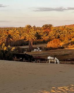 White Desert Experience - 1
