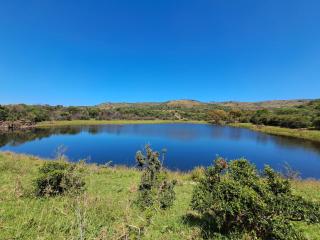 Aloe Grove Guest Farm - 4