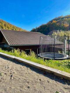 Swiss Chalet-Villa Best Base for Bern, Interlaken & Swiss Alps - Heated Swim Spa & Mountain Views - 5
