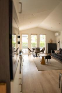 Modern Veluwe Chalet with Indoor and Outdoor Pools and Air Conditioning - 1