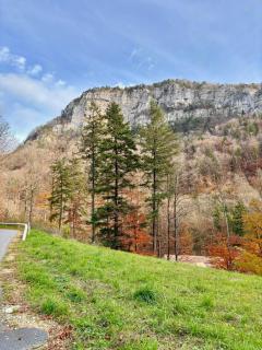 Swiss Chalet-Villa Best Base for Bern, Interlaken & Swiss Alps - Heated Swim Spa & Mountain Views - Frinvillier - 3
