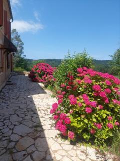 Maison des Hortensias à 500 m des bords de rivière - 9