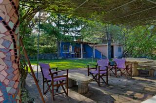 Vintage country house in Halkidiki - 5
