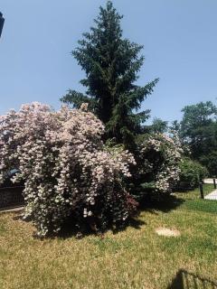 Gartenwohnung Neu Wörthersee Top 1 - 2