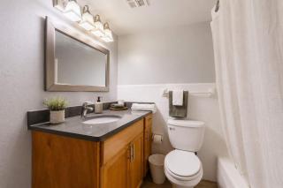 South Tampa Resort Retreat Pool Gym & Walkable Location - 7