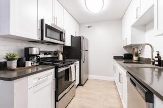 South Tampa Resort Retreat Pool Gym & Walkable Location - 2
