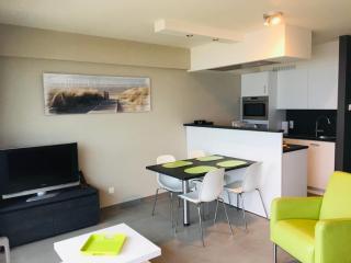 Volledig gerenoveerde studio voor 4 personen met frontaal zeezicht op de zeedijk van Westende - 9