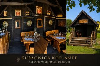 TimeOut Bizovac Wellness House - 8