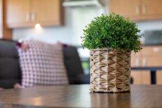 Walker Suite No 60 - Donnini Apartments - 9