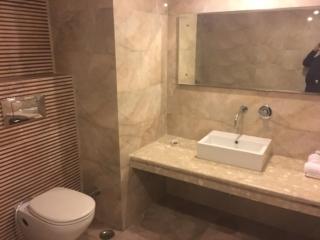 Shiva Oasis Resort - Neemrana - 7