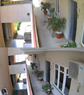 Olivewood Apartments - 5
