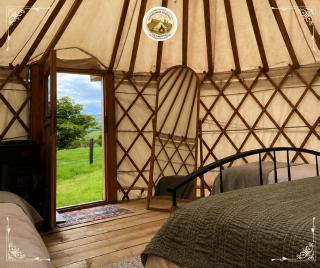 Edinburgh Festival Glamping By Stay Social Stays - 8
