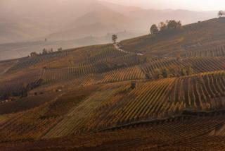 Sky & Vineyards - Melograno - - 3