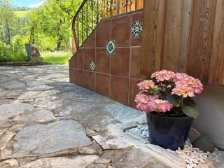 Bio Appartement Pichler - Schladming - 1