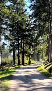 Apartamenty Trzy Sosny Okrzei 1c - 4