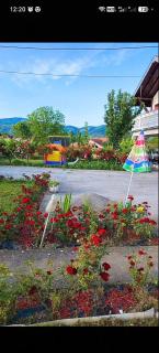 Apartman Darija - 1